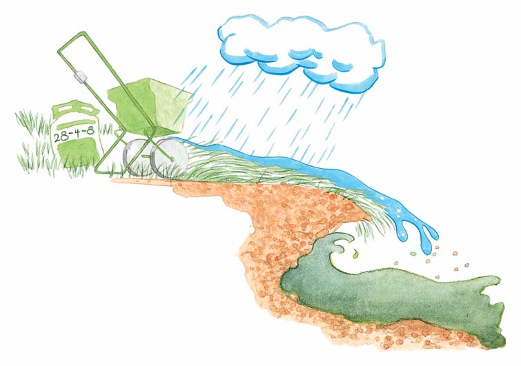 A lawn is an unhealthy partner for a lake. A lawn is an unhealthy partner for a lake.